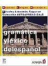 Gramática y léxico del espaňol: Avanzado-Superior - Garcia Josefa Martin