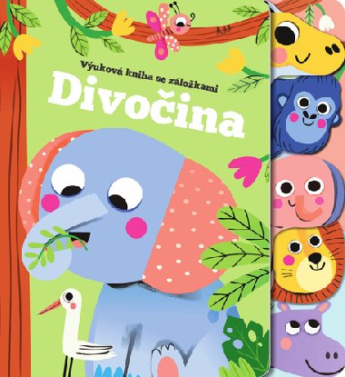 Divoina - 