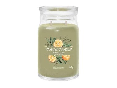 YANKEE CANDLE Sage & Citrus svka 567g / 5 knot (Signature velk) - neuveden