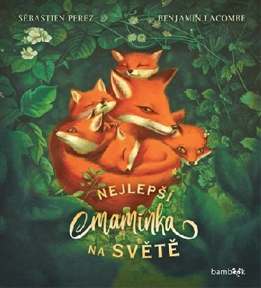 Nejlep maminka na svt - Sbastien Perez; Benjamin Lacombe