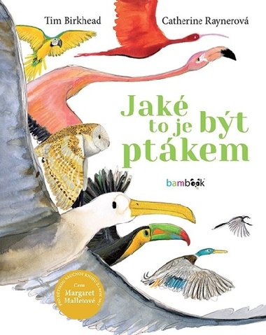 Jak to je bt ptkem - Tim Birkhead; Catherine Rayner