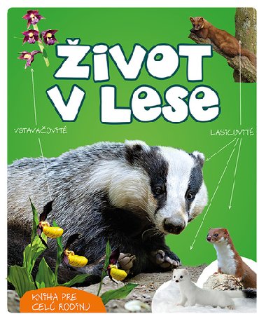 ivot v lese SK - Wojciech Gil