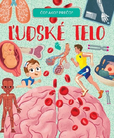 udsk telo - 