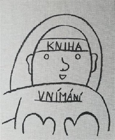 Kniha vnmn - Lucie Luansk