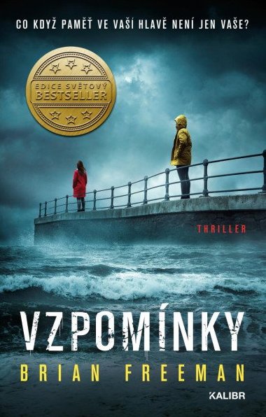 Vzpomnky - Brian Freeman