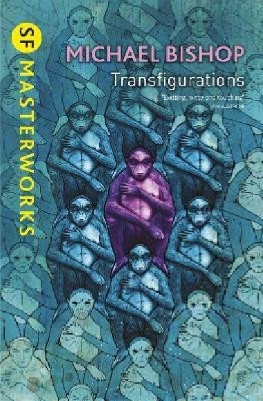 Transfigurations - Bishop Michael