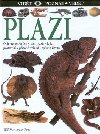 Plazi - Colin McCarthy