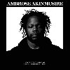 On The Tender Spot Of Every Calloused Moment - Ambrose Akinmusire