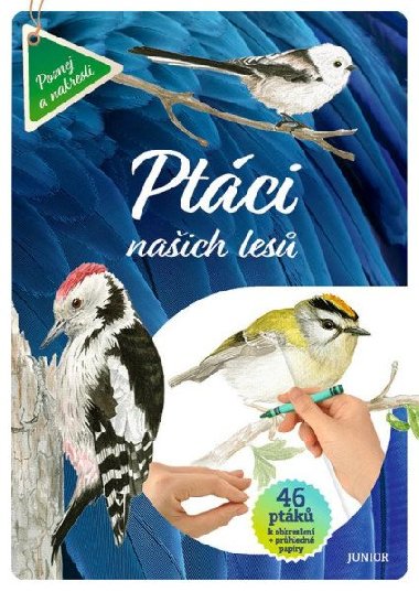 Ptci naich les - 46 ptk k obkreslen + prhledn papry - neuveden