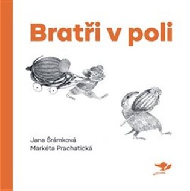 Brati v poli - Jana rmkov