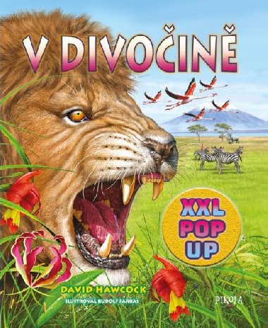 V divoin - XXL pop up - David Hawcock