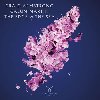 Martin Armstrong: The Edge Of The Sea CD - Armstrong Martin