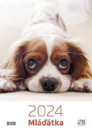 Kalendář 2024 Mláďátka, 297 x 420 mm - Almatyne