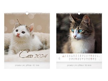 Mal Cats 2024 - nstnn kalend - MFP Paper