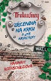 Zřícenina na krku a jiné katastrofy - Hannah Rothschild