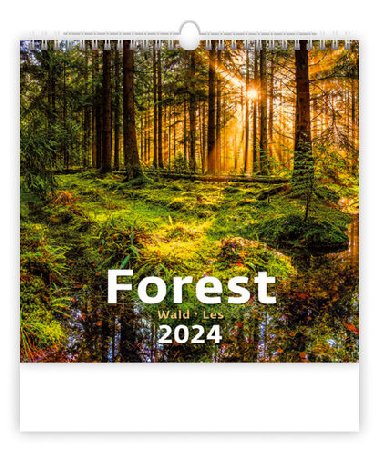 Kalend nstnn 2024 - Forest - Helma