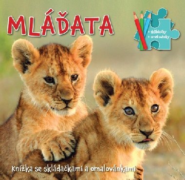 Mlata - Knka se skldakami a omalovnkami - Bookmedia