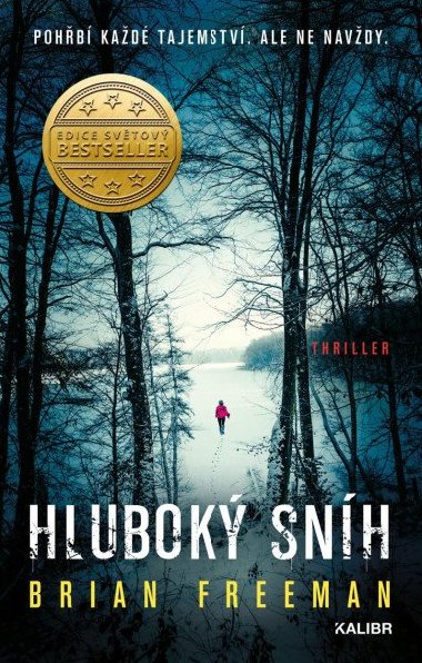 Hlubok snh - Brian Freeman
