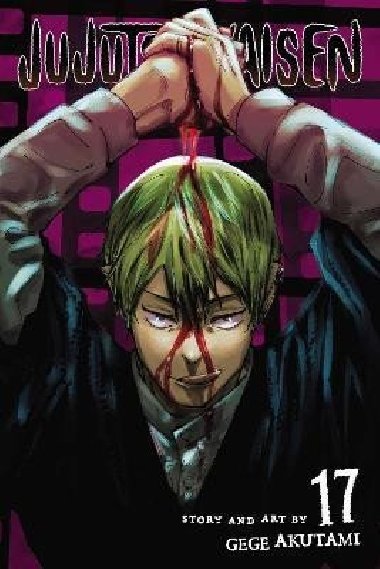 Jujutsu Kaisen 17 - Akutami Gege