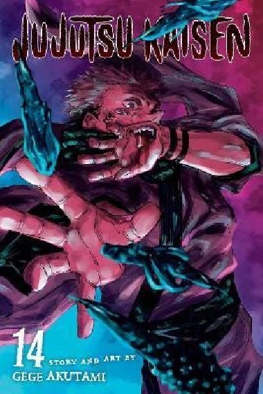 Jujutsu Kaisen 14 - Akutami Gege