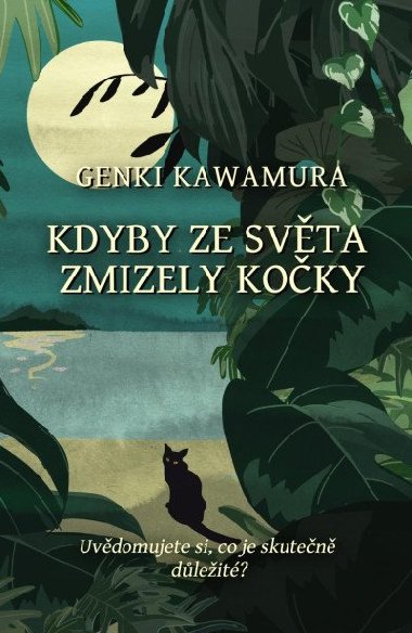 Kdyby ze svta zmizely koky - Genki Kawamura
