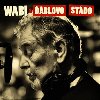 Wabi a ďáblovo stádo - Wabi Daněk,Aneta Langerová,Radůza