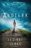 Andlek - Lucinda Berry