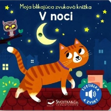 Moja blikajca zvukov knika V noci - 