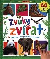 Zvuky zvat - Velk zvukov kniha - Infoa