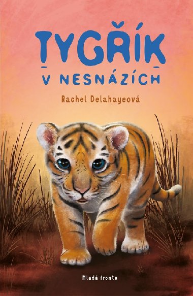 Tygk v nesnzch - Rachel Delahayeov