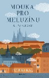 Mouka pro meluznu a jin sloupky - Kukal Petr