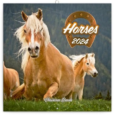 Kon 2024 - nstnn kalend - Presco