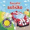 Zvodn autko - 
