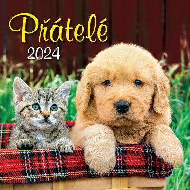 Ptel 2024 - nstnn kalend - Spektrum Grafik