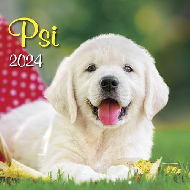 Psi 2024 - nstnn kalend - Spektrum Grafik