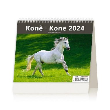 Kalend stoln 2024 - MiniMax Kon - Helma
