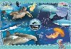 Clementoni Puzzle National Geographic Przkum ocenu / 104 dlk - neuveden