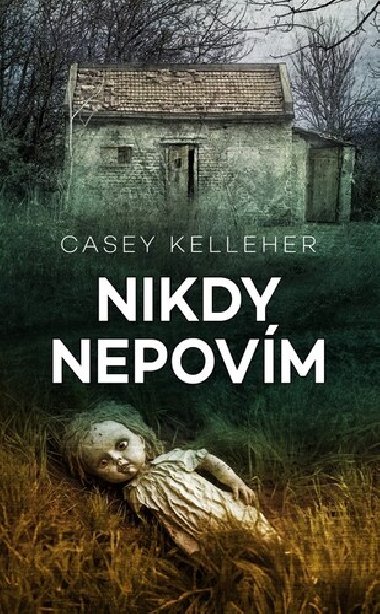 Nikdy nepovm - Casey Kelleher