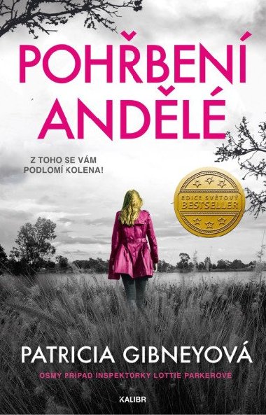 Pohřbení andělé - Patricia Gibneyová