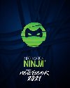 Information Ninja: Notebook 2021 - zelený - Kristina Černá, Jan Černý