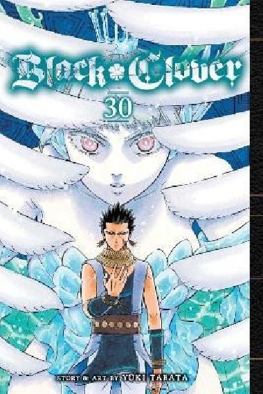 Black Clover 30 - Tabata Yuki