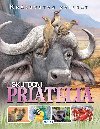 Skuton priatelia - 
