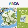 HEYDA Papry na origami vododoln 15 x 15 cm - zelen - neuveden