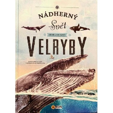 Velryby - Ndhern svt mo a ocen - Nakladatelstv SUN