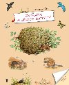 Zvířata a jejich úkryty - Susanne Riha