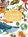 ھasn prroda - 