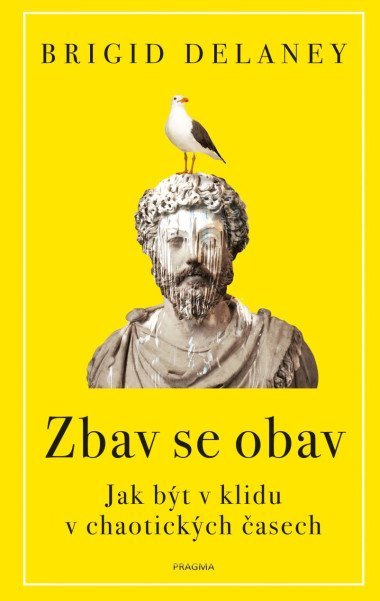 Důvody, proč se nebát - Jak se stát moderním stoikem - Brigid Delaney