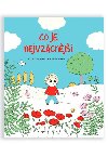 Co je nejvzcnj - Pauline Martin; Astrid Desbordes