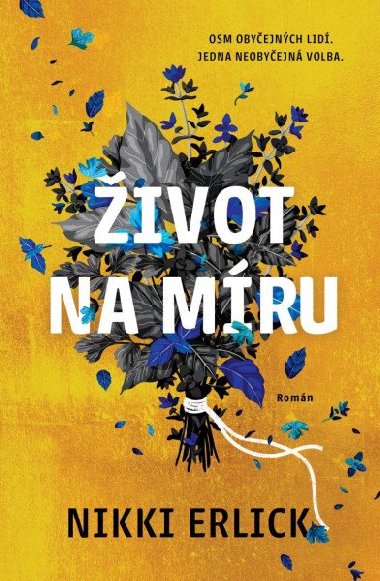 ivot na mru - Nikki Erlick