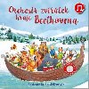 Orchestr zvtek hraje Beethovena - Sam Taplin